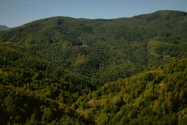 Le journal intime parfait pour filles de 10 ans : découvrez !